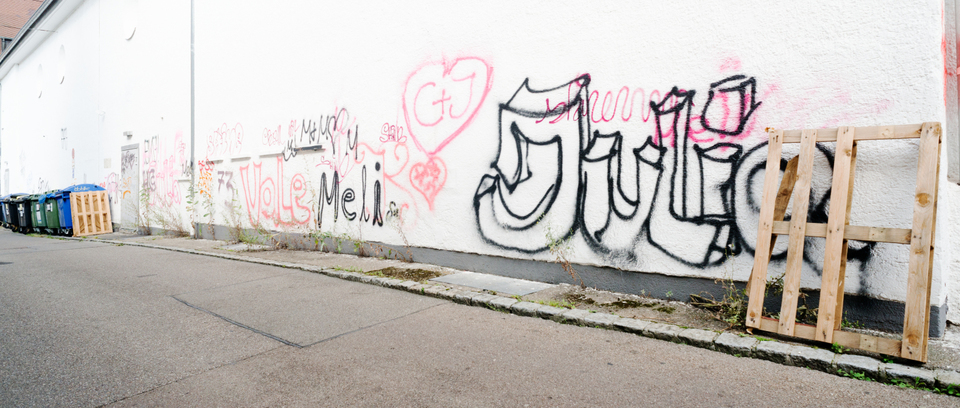 Vole Meli Julio - ID 009728