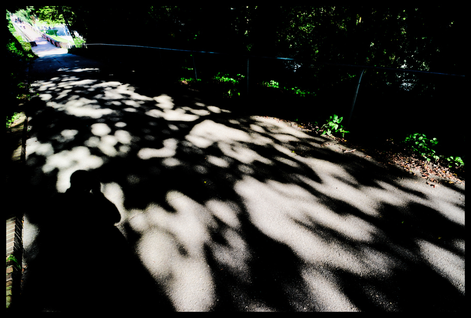Shadow Path - ID 009735