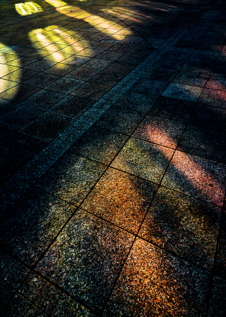 Color Light Traces III - ID 009741