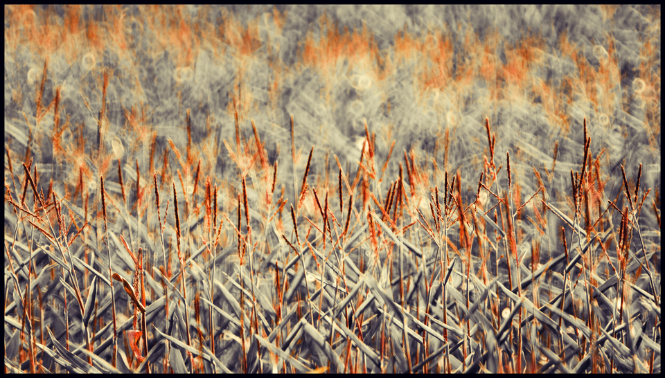 Towards Sky - ID 009756