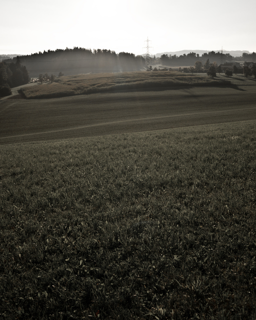 Downhill - ID 009771