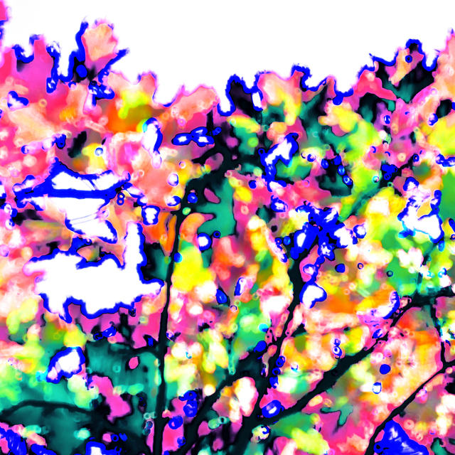 Tree Color I - ID 009777