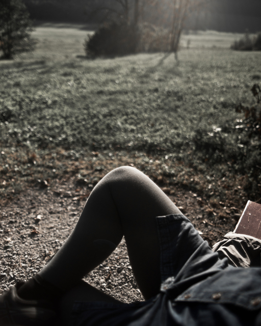 Questions - ID 009794