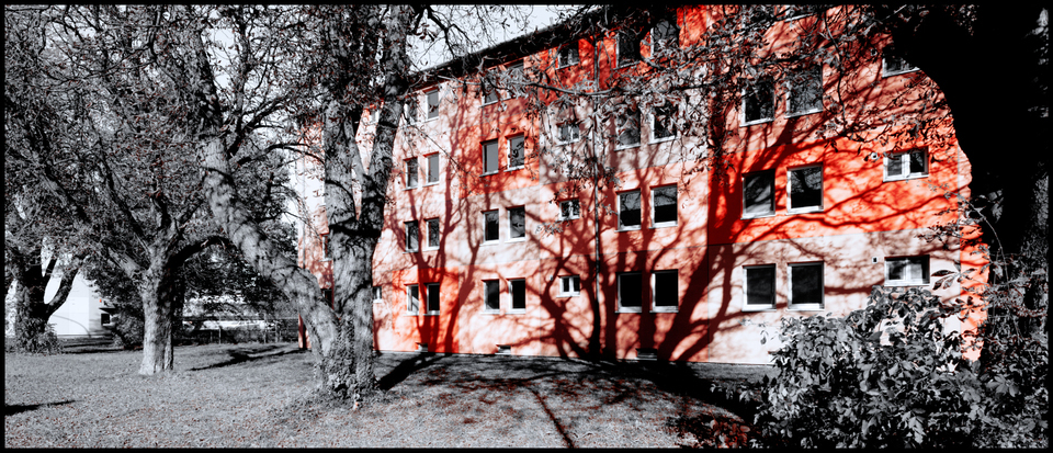 Fall Shadow I - ID 009823