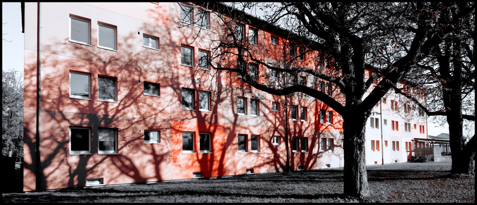 Fall Shadow II - ID 009824