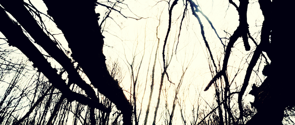 Against the Sun - ID 009852