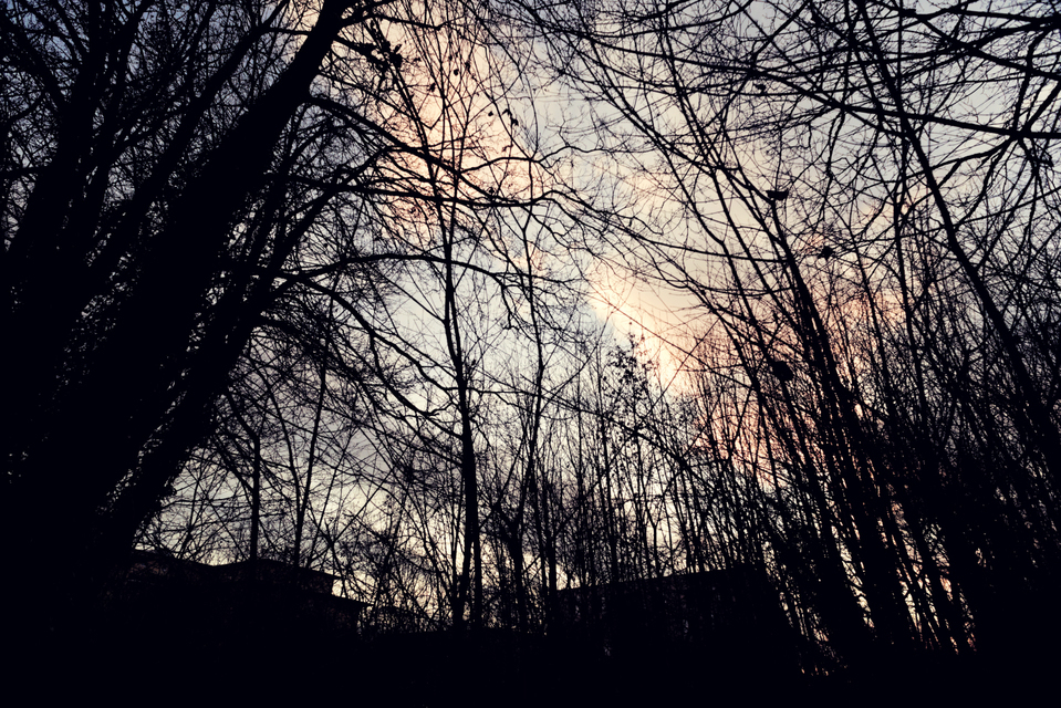 Houses Behind - ID 009859