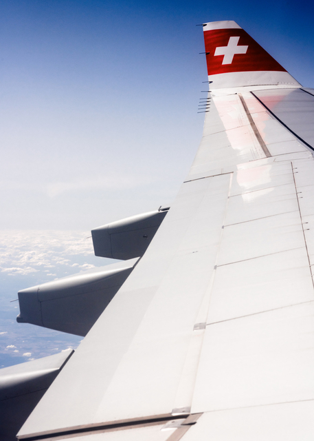 White Cross on Wing II - ID 009873