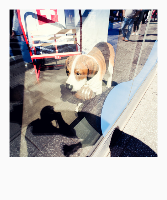 Plastic Dog - ID 009927