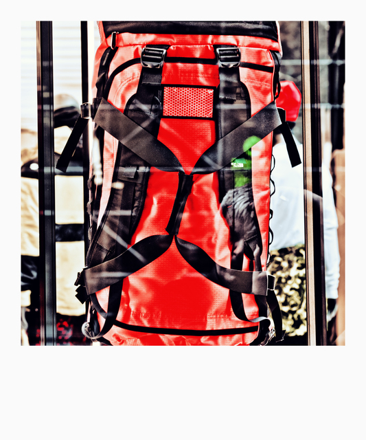 Red Backpack - ID 009981