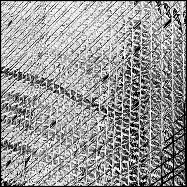 Too Much II - ID 010014