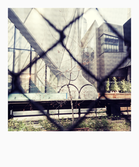 The Shed - ID 010137