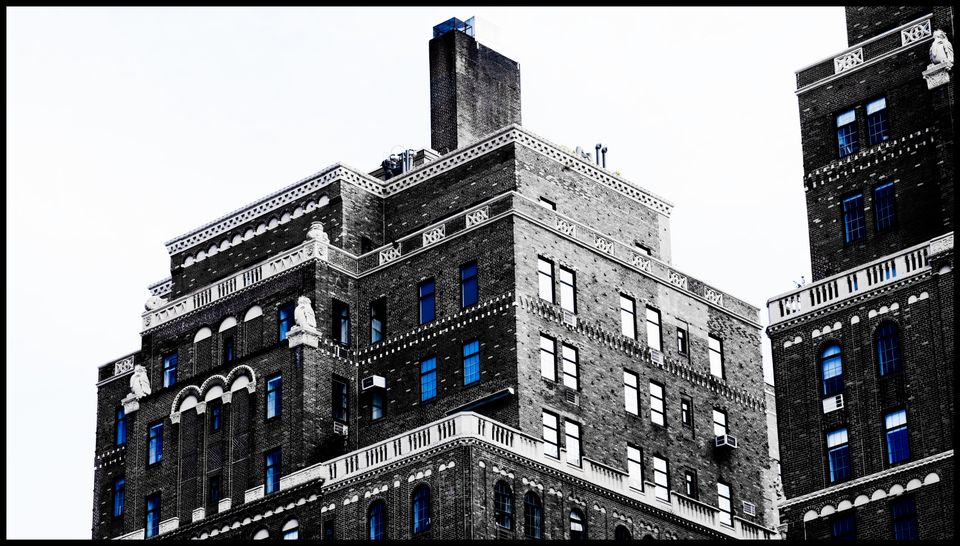 Blue Eyes - ID 010162