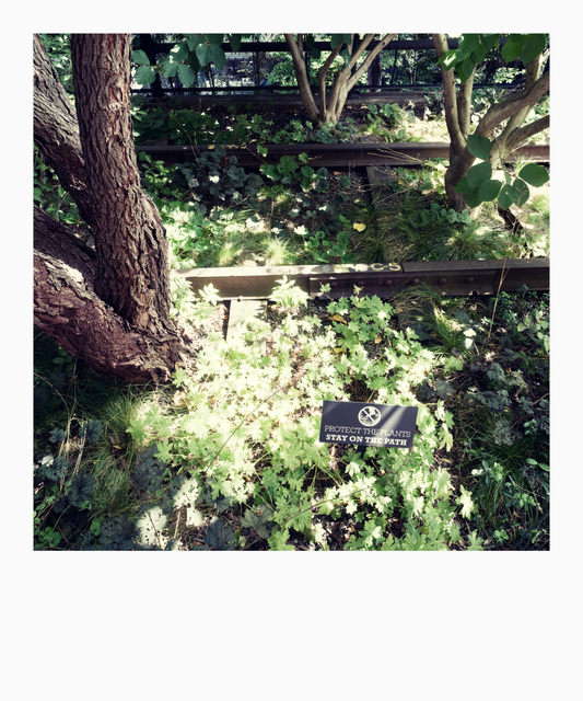 Stay on Highline Path - ID 010167