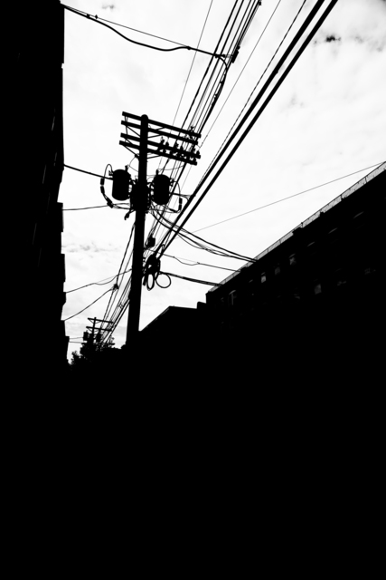 NY Cables II - ID 010220