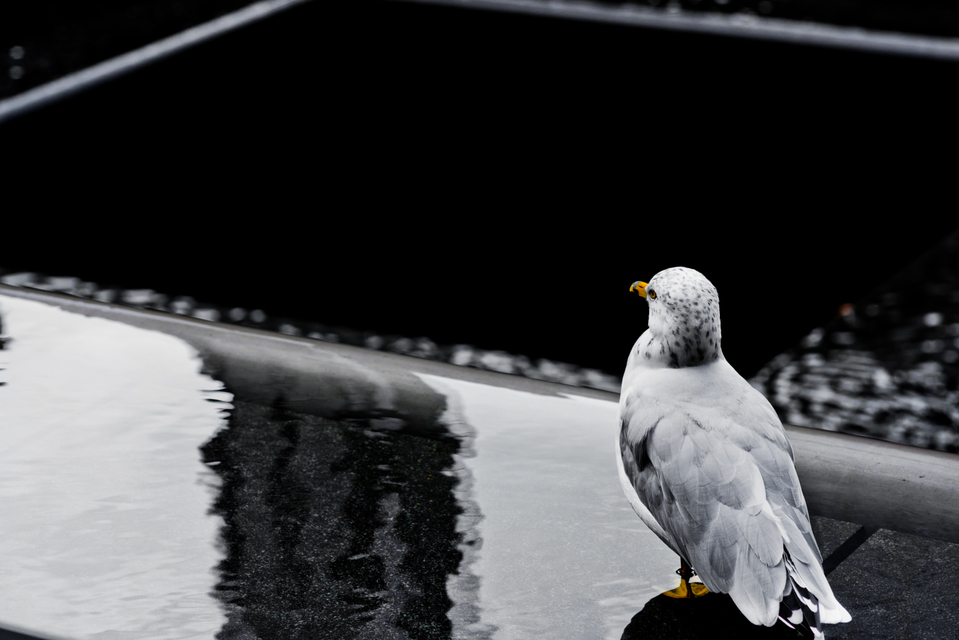 Ground Zero IX - ID 010275