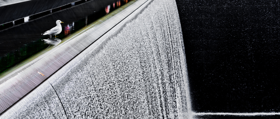 Ground Zero XII - ID 010278