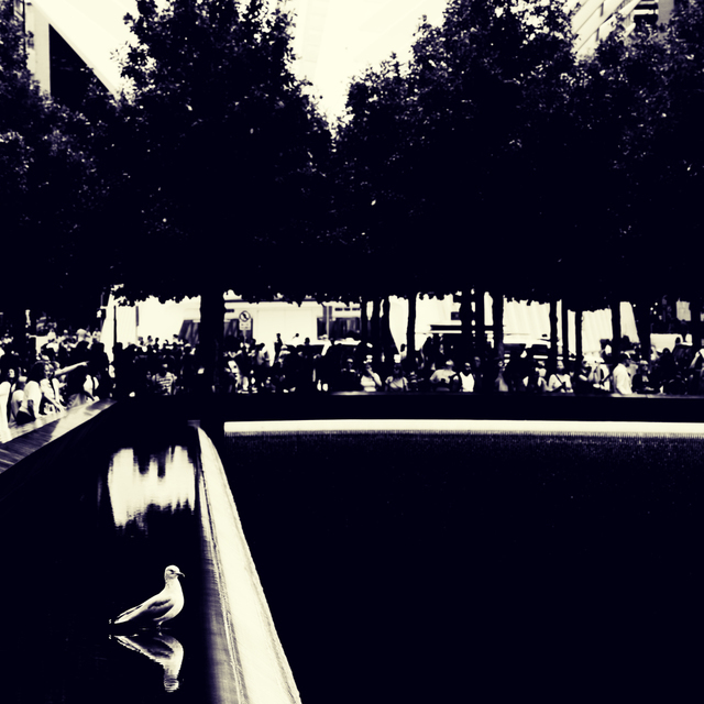 Ground Zero XIII - ID 010279