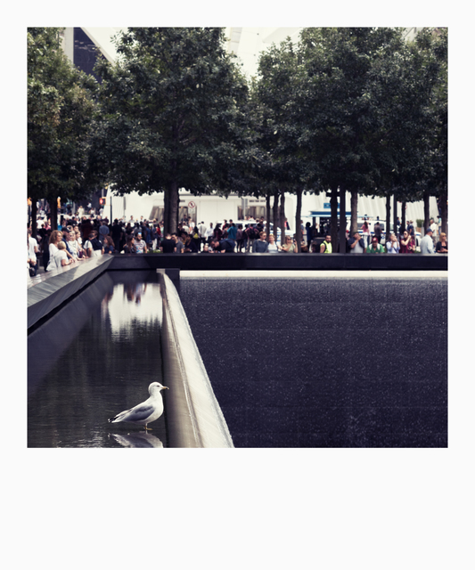 Ground Zero XIV - ID 010280