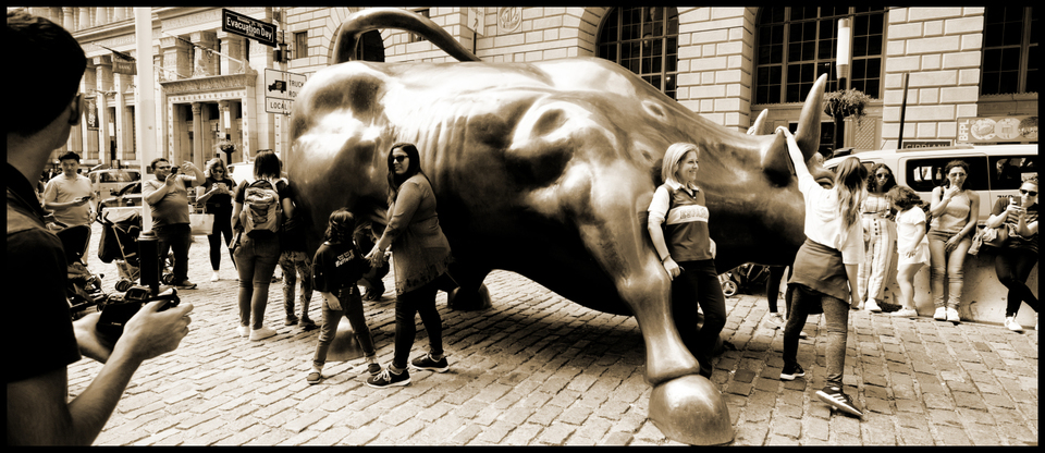 Charging Bull I - ID 010308