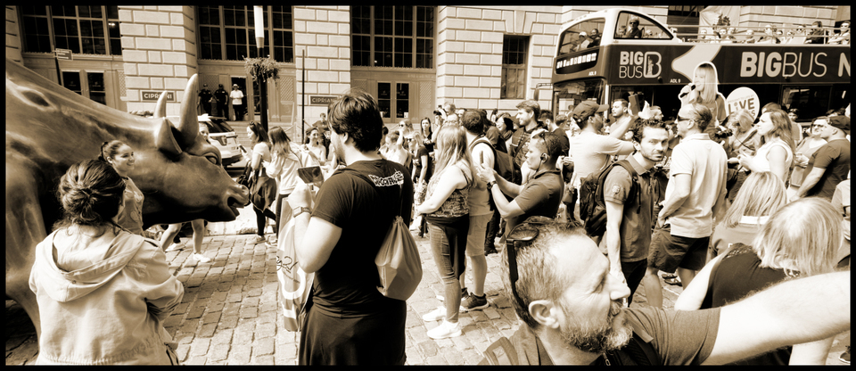 Charging Bull III - ID 010310