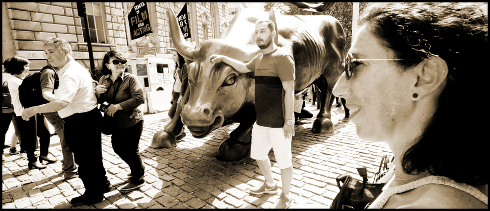 Charging Bull V - ID 010312