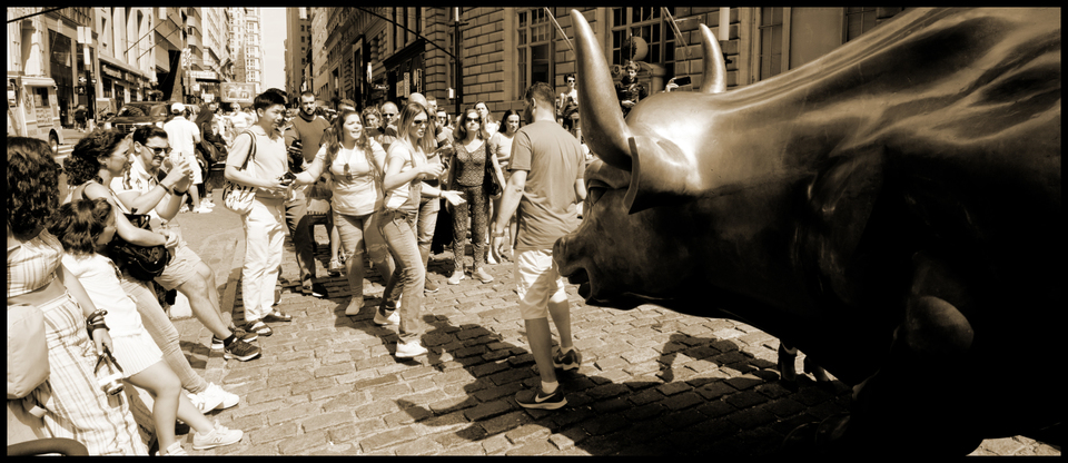 Charging Bull VI - ID 010313