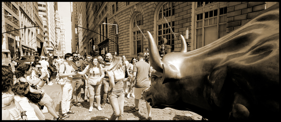 Charging Bull VII - ID 010314