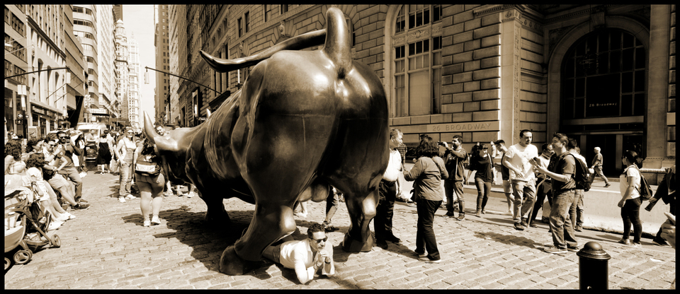Charging Bull VIII - ID 010315