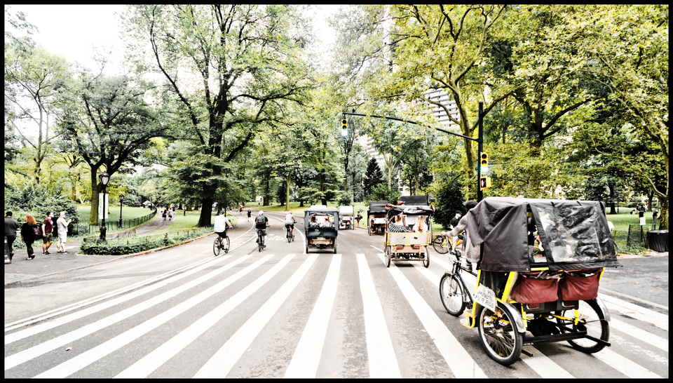 Coaches in the Park II - ID 010406