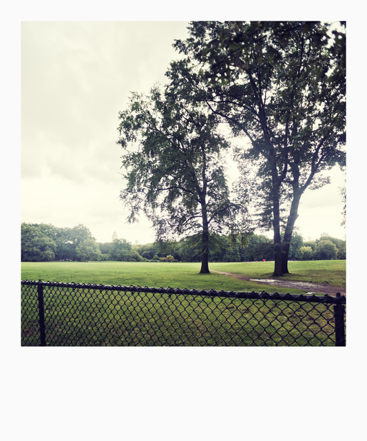 Park behind the Bench I - ID 010410
