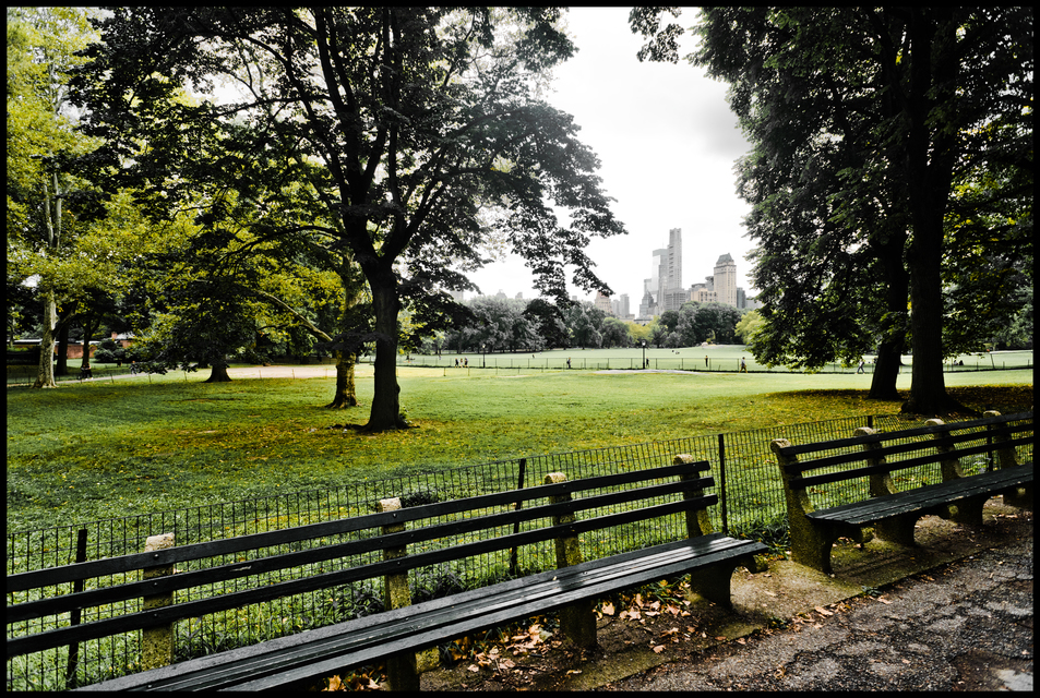 Benches in the Park I - ID 010416