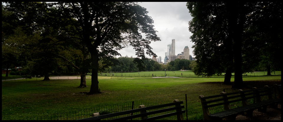 Benches in the Park II - ID 010417