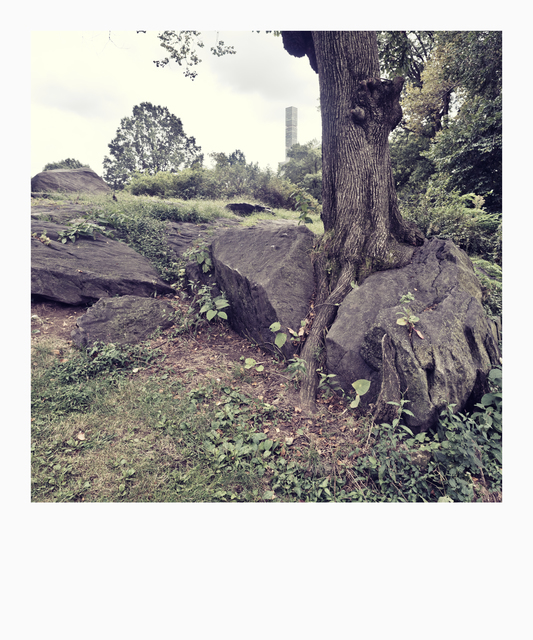 Modern Tree I - ID 010418