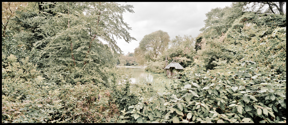 Central Park Small Lake - ID 010421