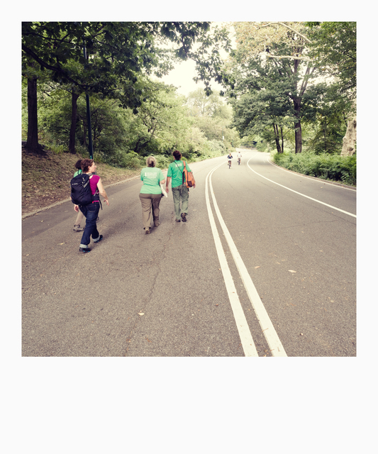 Central Park Walk and Ride - ID 010432