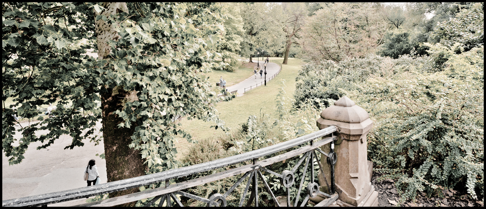 Between Green - ID 010434