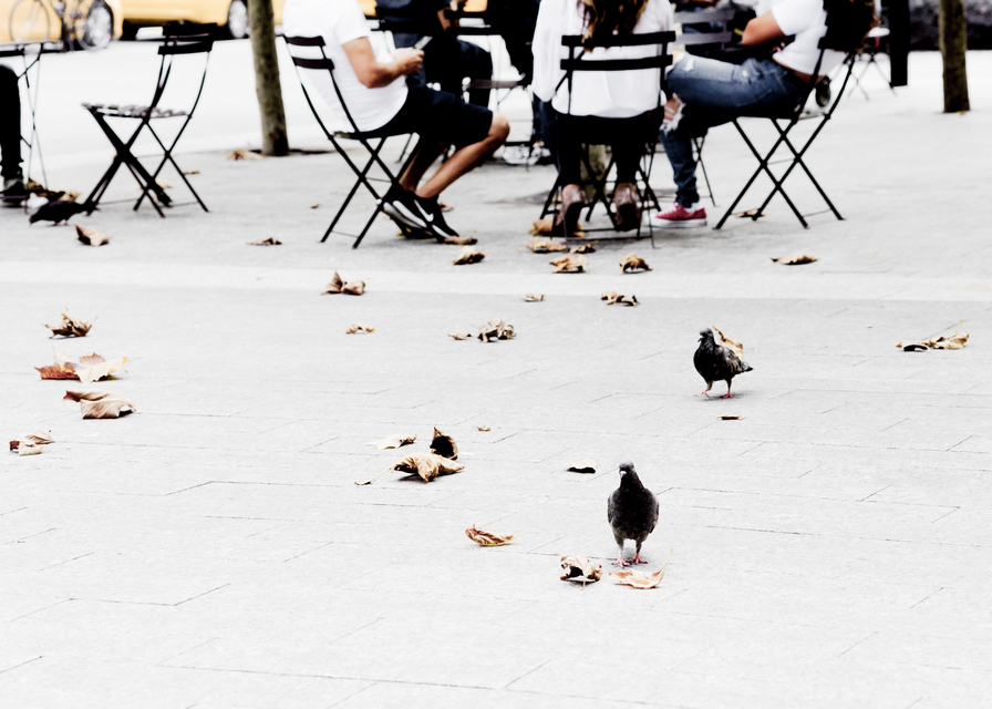 Walking and Sitting - ID 010439