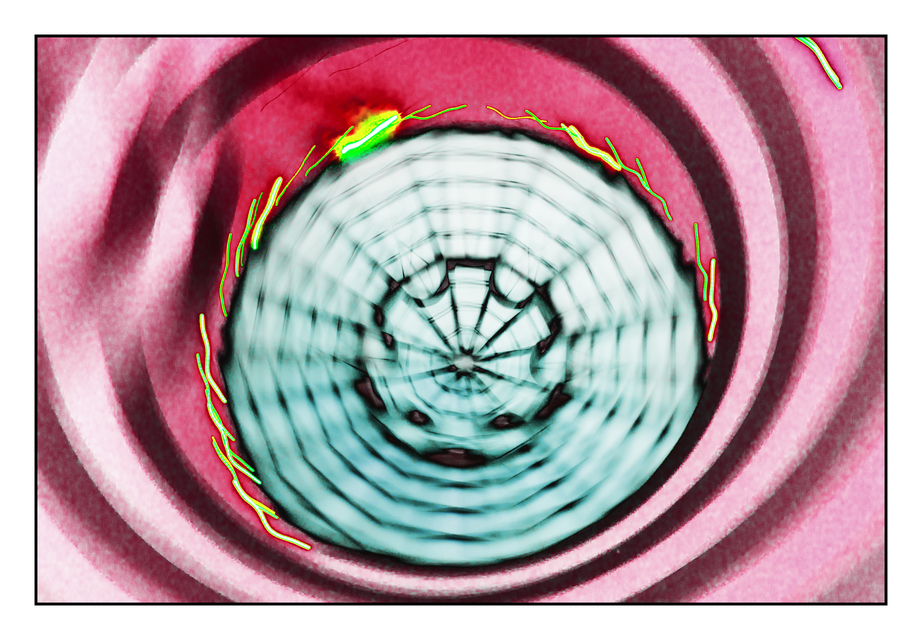 Skyview VIII - ID 010476