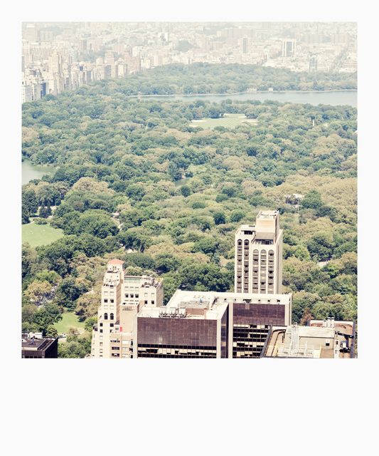 Central Park Below - ID 010554