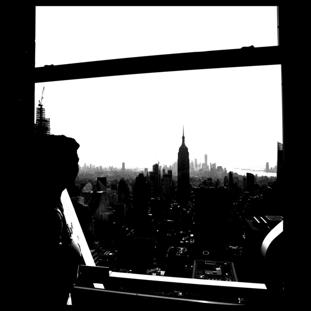 Looking on Empire State I - ID 010573