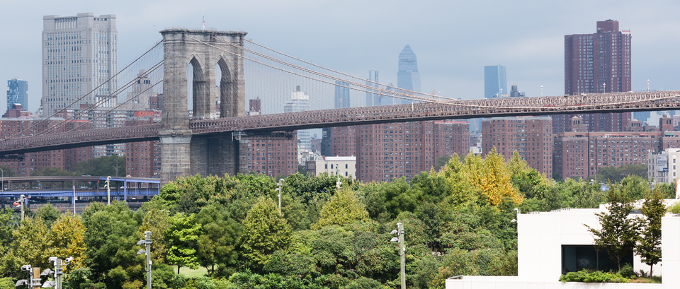 Brooklyn Bridge I - ID 010673