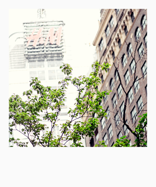 Some Green - ID 010795