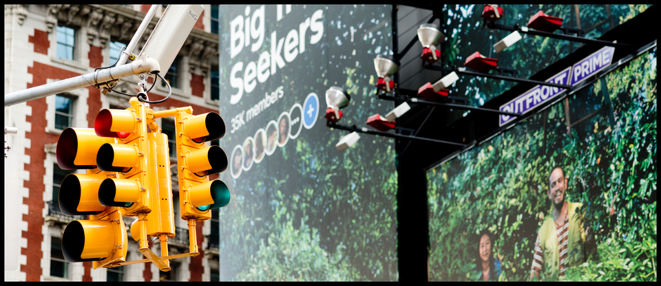 Big Seekers Jungle - ID 010871