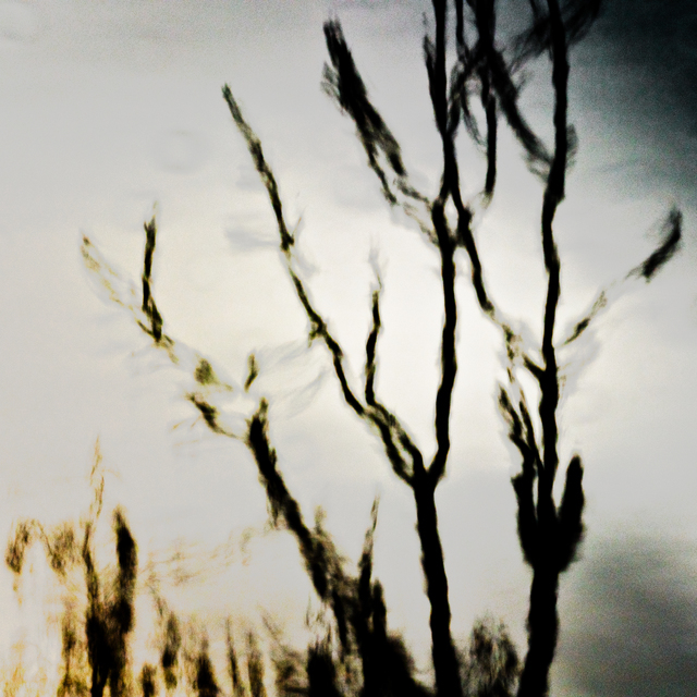 Lake Mirror I - ID 010929