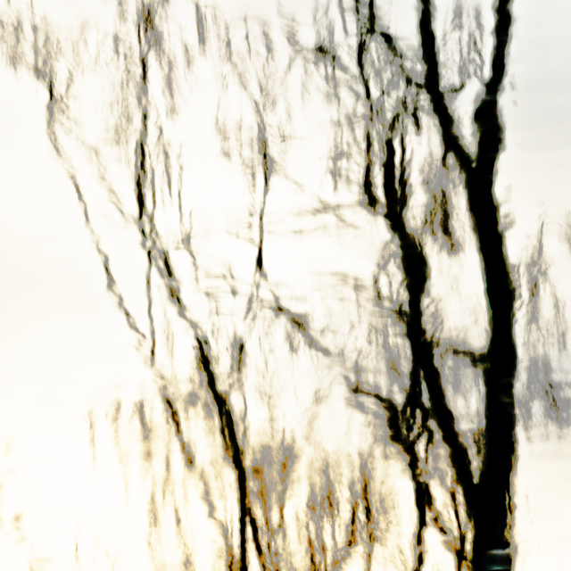 Lake Mirror III - ID 010931