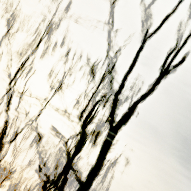 Lake Mirror IV - ID 010932