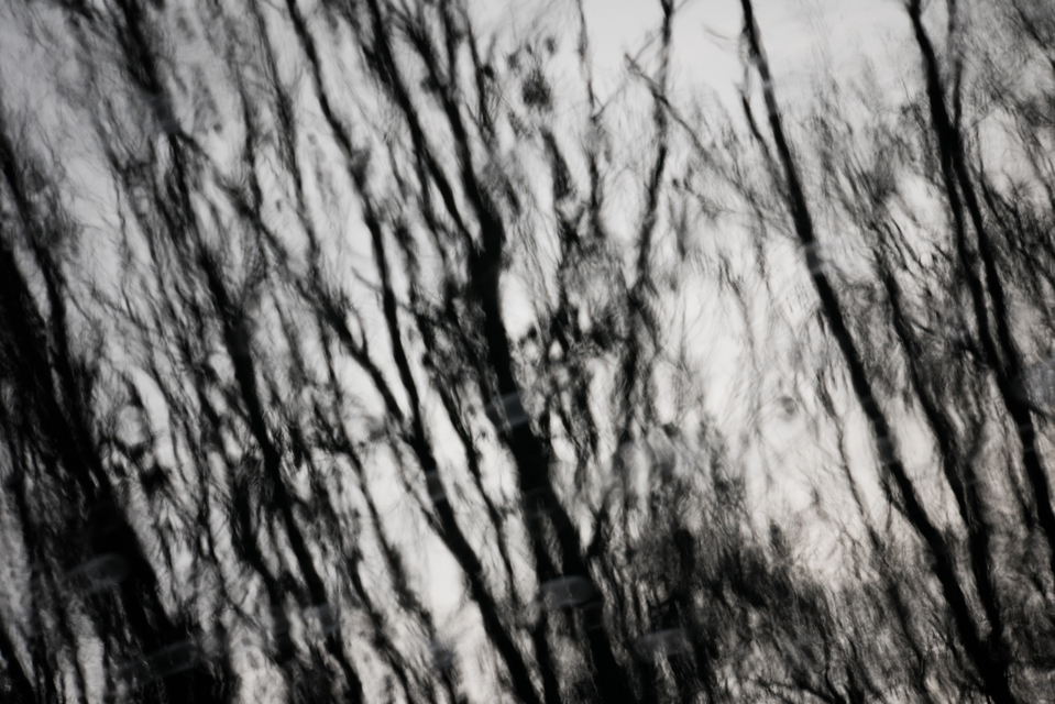 Lake Mirror IX - ID 010937