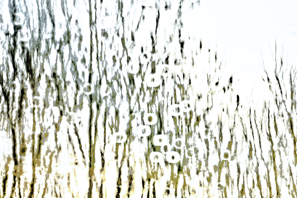 Lake Mirror XI - ID 010939