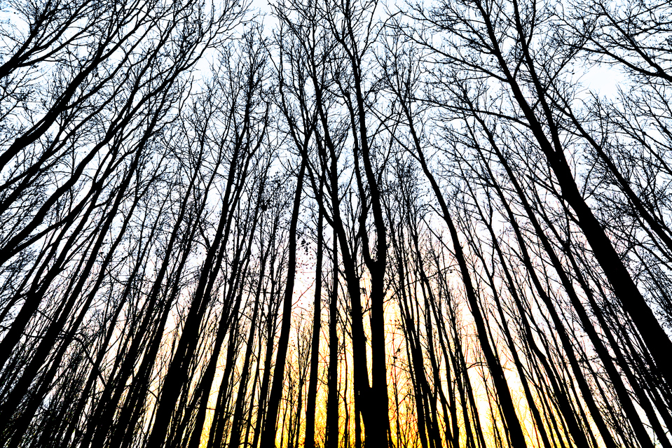 Glowing Sky - ID 010942